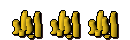 Head of Donations